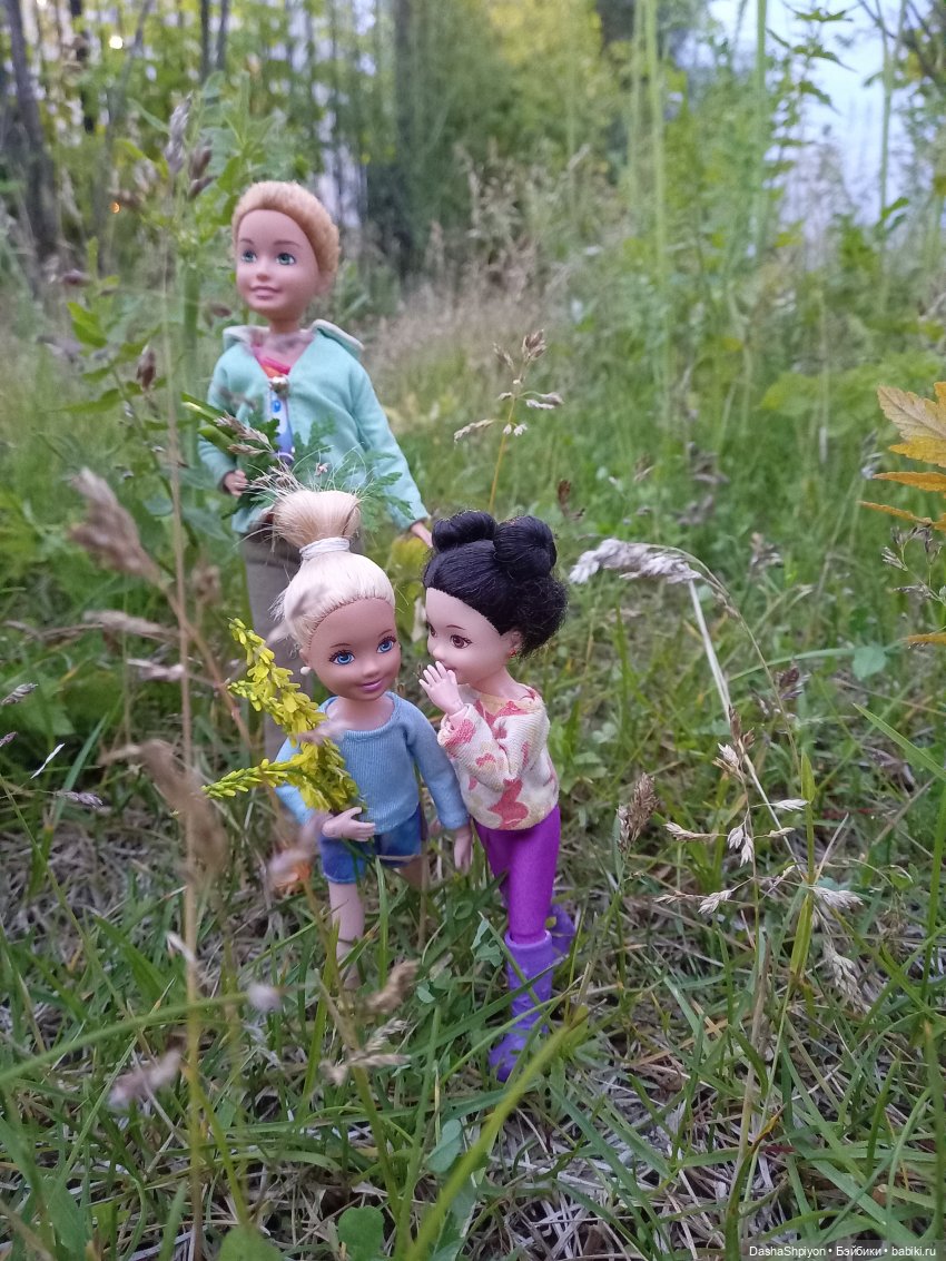 Однажды летом после дождя 🌧️🌳🌾