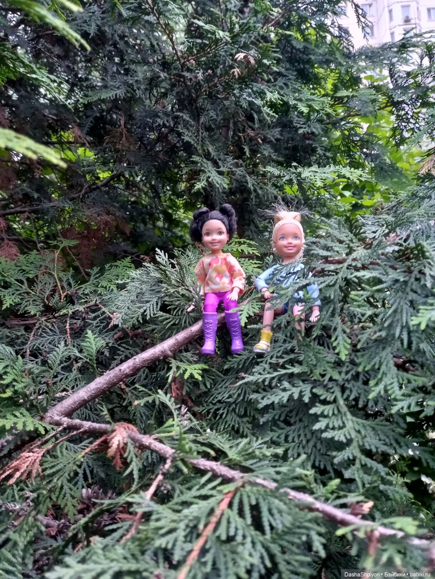 Однажды летом после дождя 🌧️🌳🌾 (фото 4)