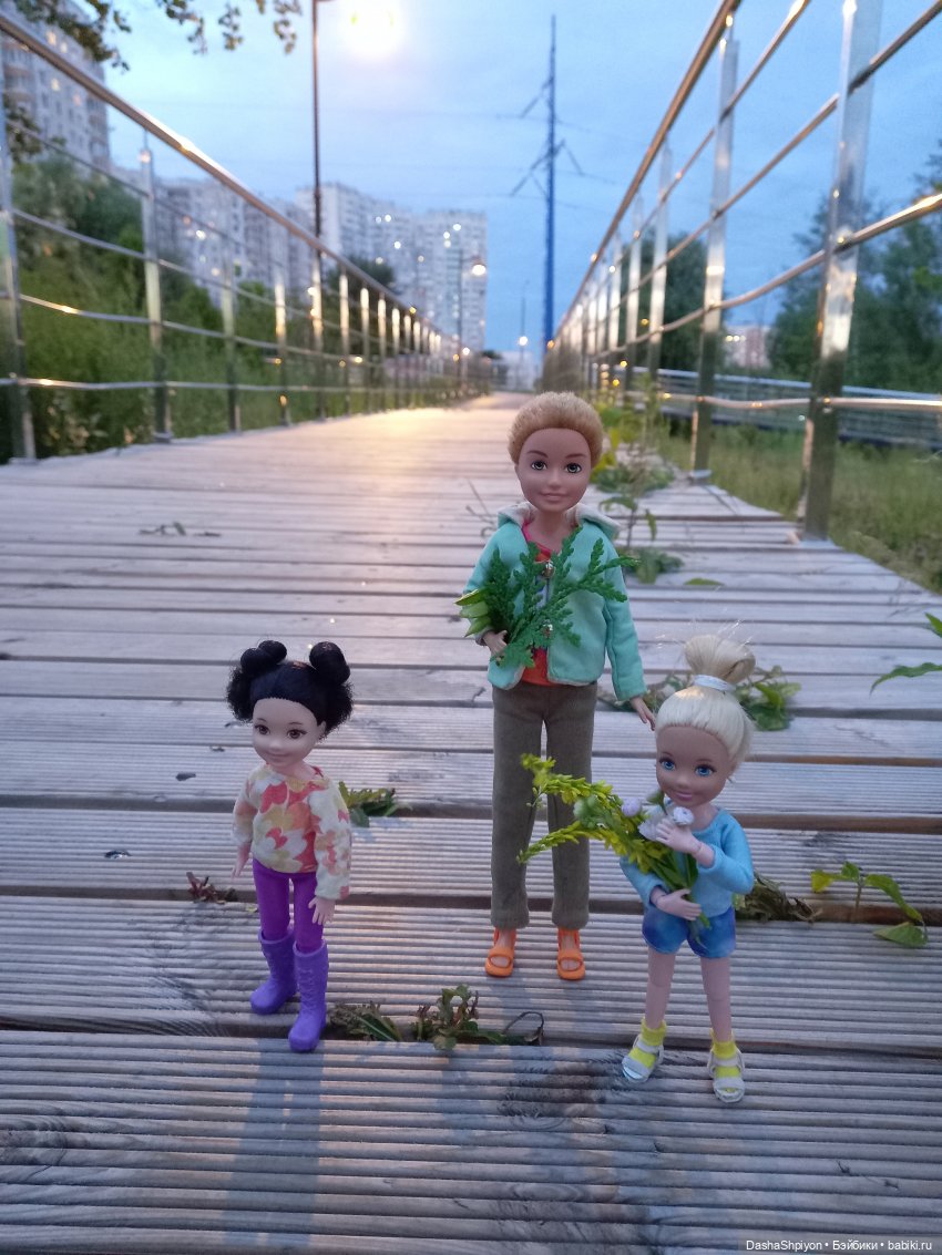 Однажды летом после дождя 🌧️🌳🌾