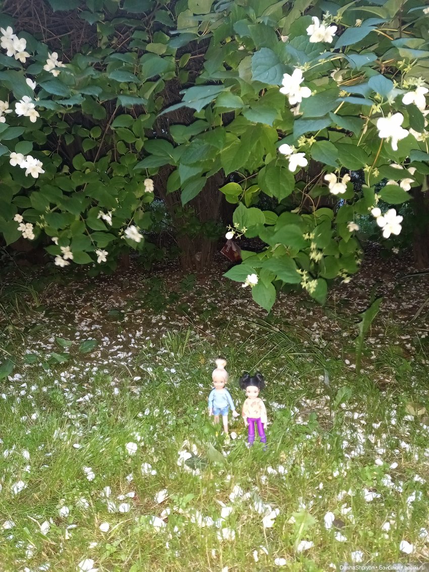 Однажды летом после дождя 🌧️🌳🌾