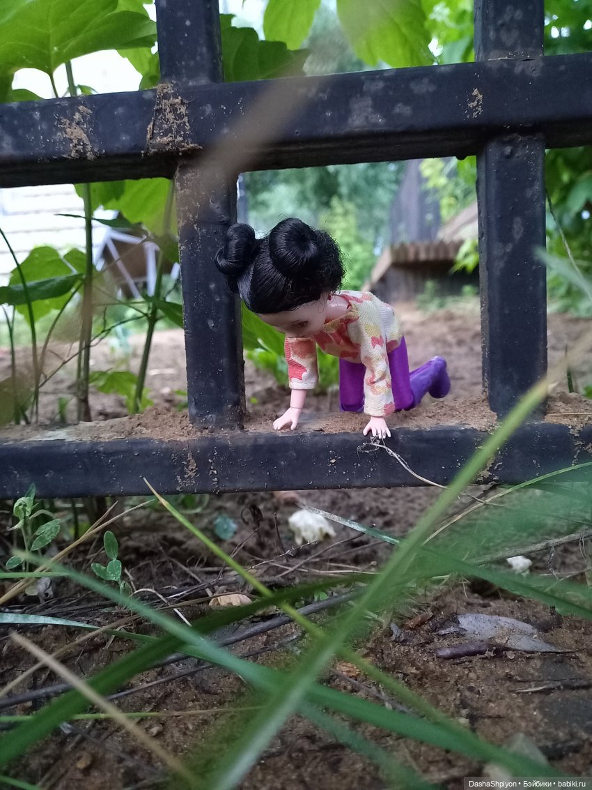 Однажды летом после дождя 🌧️🌳🌾 (фото 10)