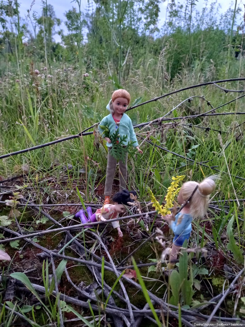 Однажды летом после дождя 🌧️🌳🌾 (фото 7)