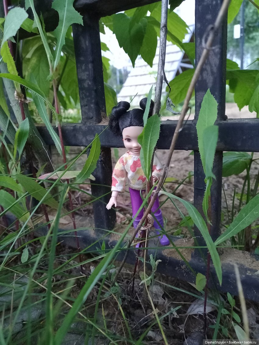 Однажды летом после дождя 🌧️🌳🌾