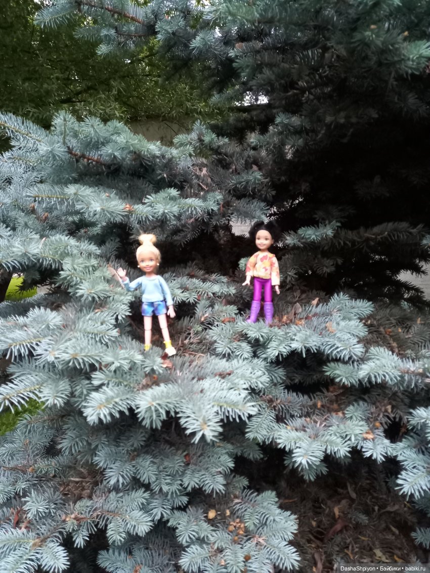 Однажды летом после дождя 🌧️🌳🌾 (фото 3)