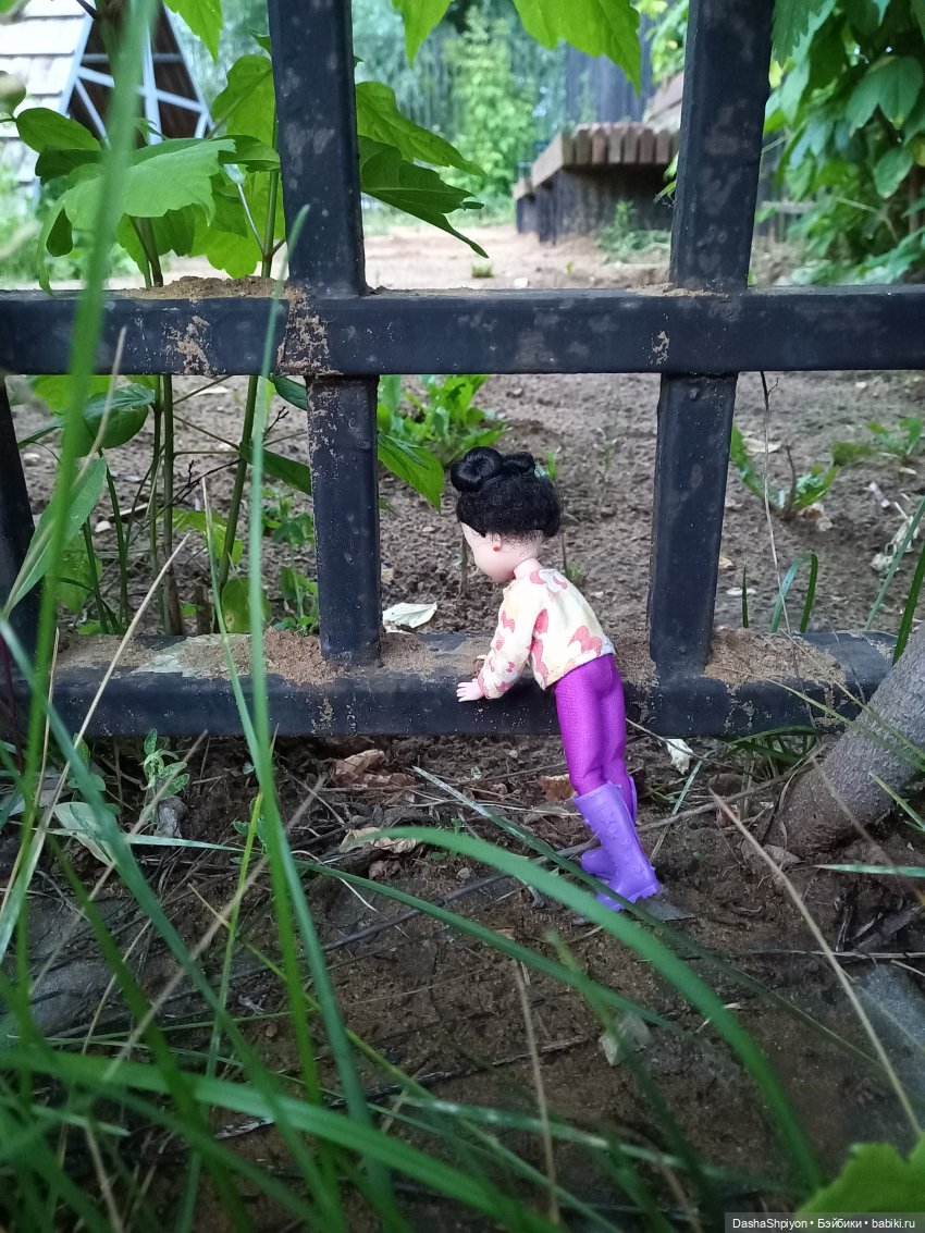 Однажды летом после дождя 🌧️🌳🌾 (фото 9)