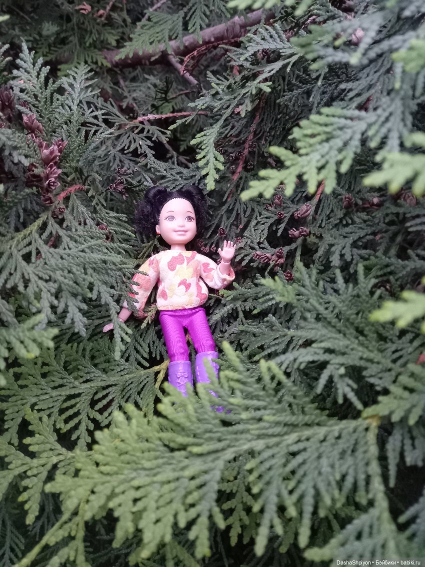 Однажды летом после дождя 🌧️🌳🌾 (фото 5)