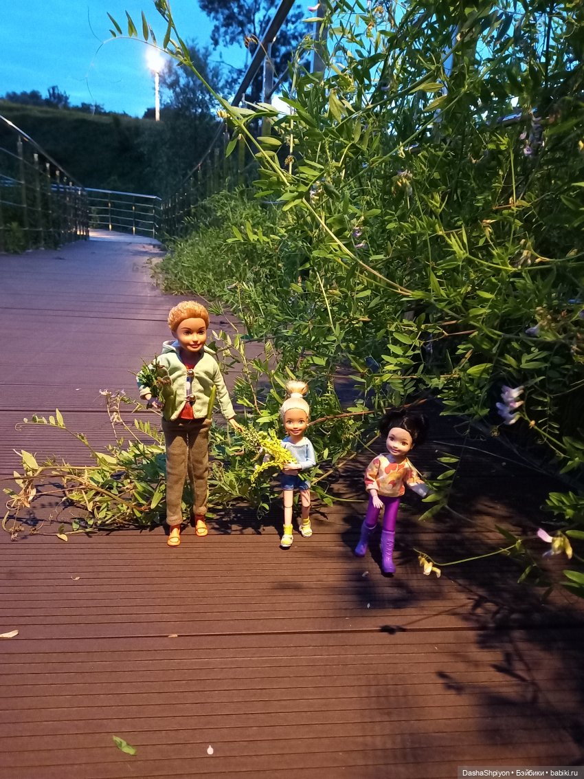 Однажды летом после дождя 🌧️🌳🌾