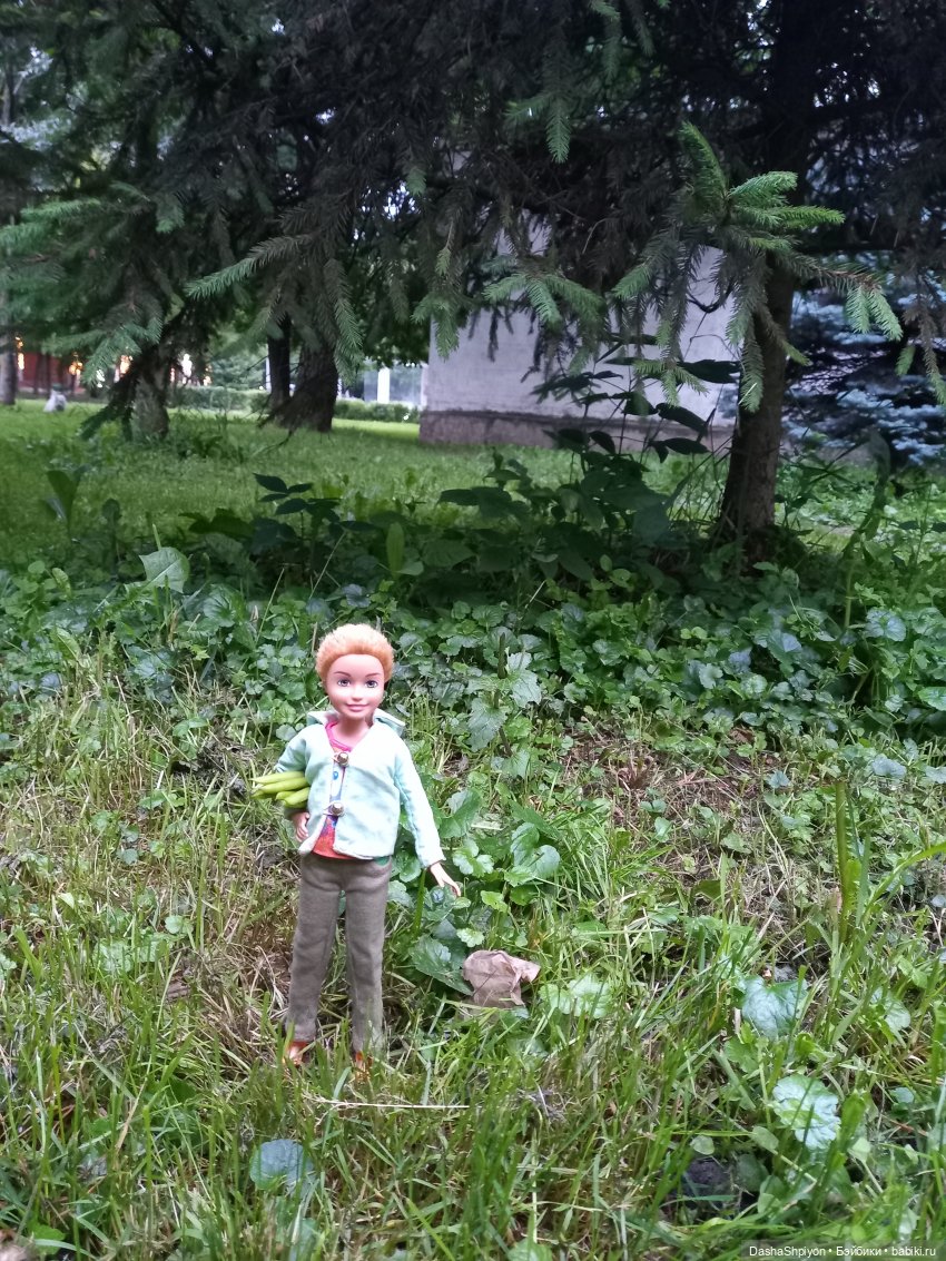 Однажды летом после дождя 🌧️🌳🌾 (фото 6)