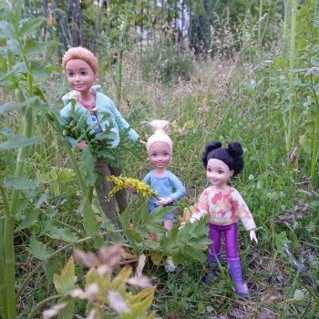 Однажды летом после дождя 🌧️🌳🌾