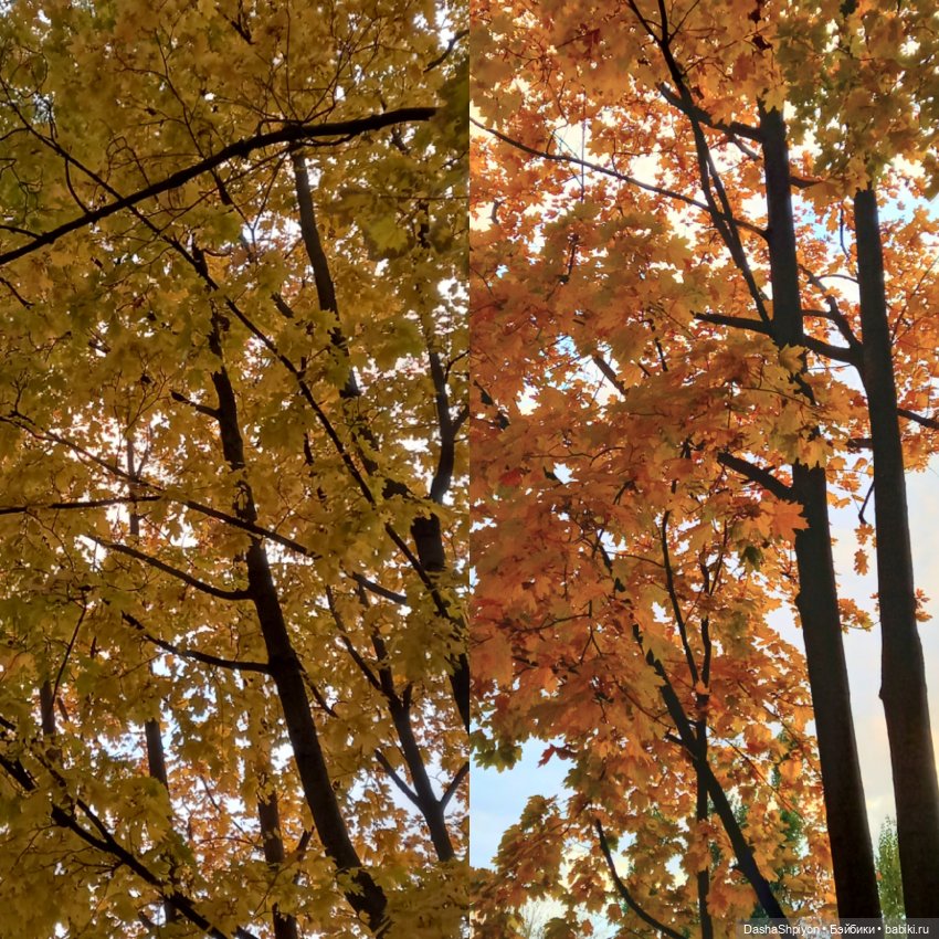 🍁Садовники — Часть 1 — Путь🍂