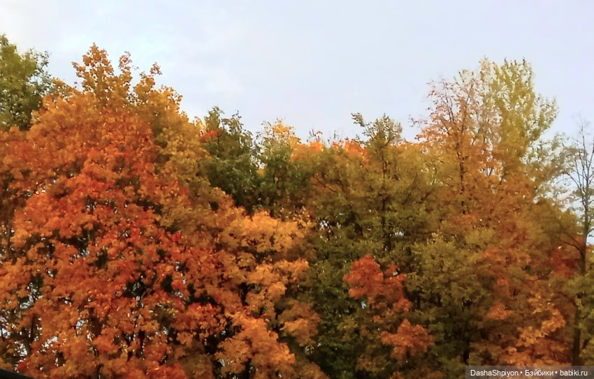 🍁Садовники — Часть 1 — Путь🍂 (фото 6)