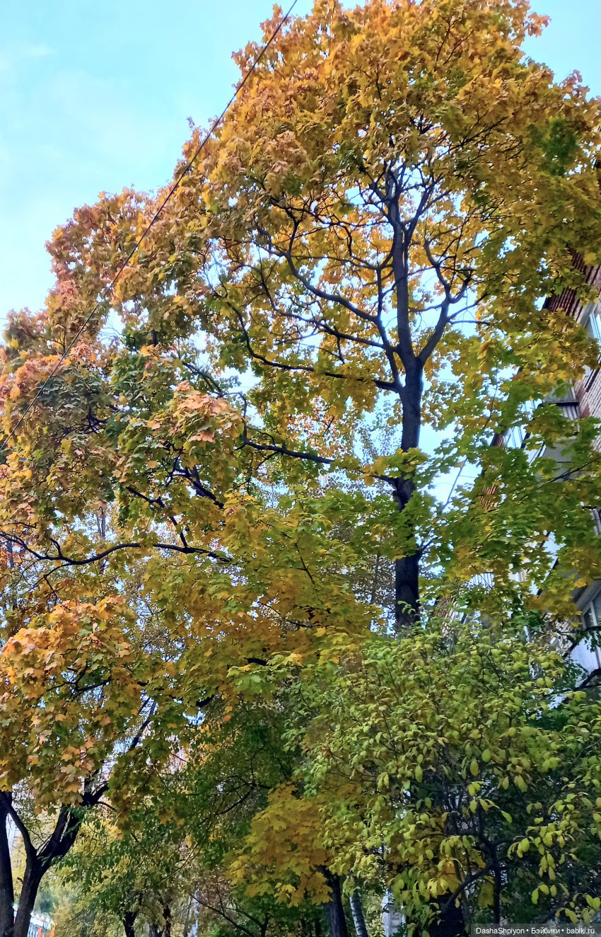 🍁Садовники — Часть 1 — Путь🍂 (фото 5)