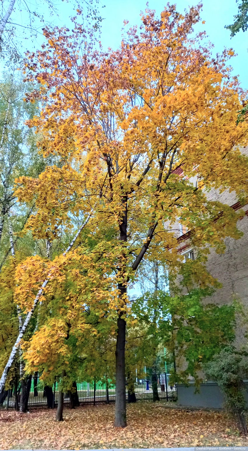🍁Садовники — Часть 1 — Путь🍂 (фото 4)