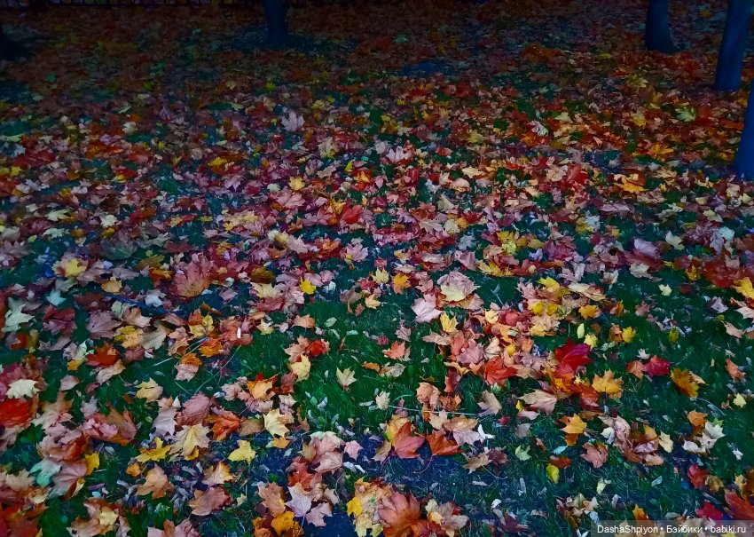 🍁Садовники — Часть 1 — Путь🍂 (фото 8)