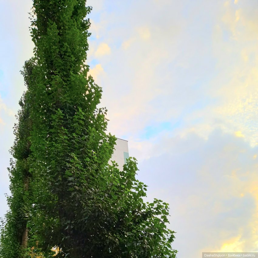 🍁Садовники — Часть 1 — Путь🍂 (фото 2)