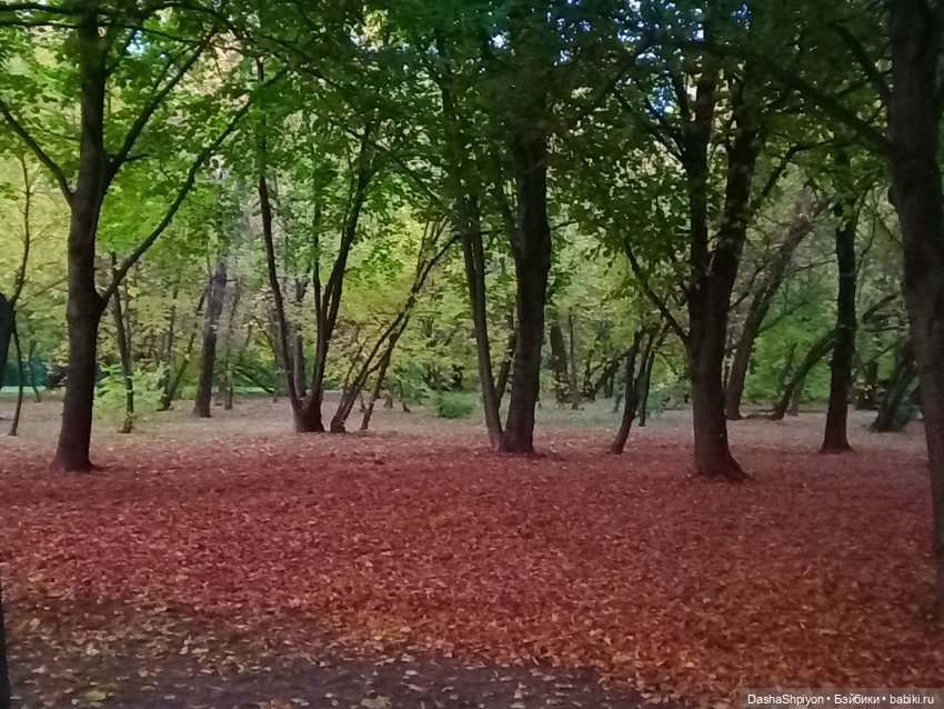 🍁Садовники — Часть 1 — Путь🍂