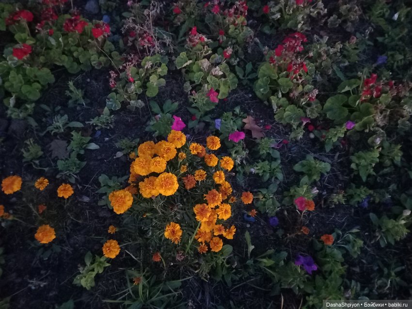 🍁Садовники — Часть 1 — Путь🍂