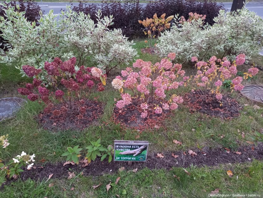 🍁Садовники — Часть 1 — Путь🍂 (фото 3)