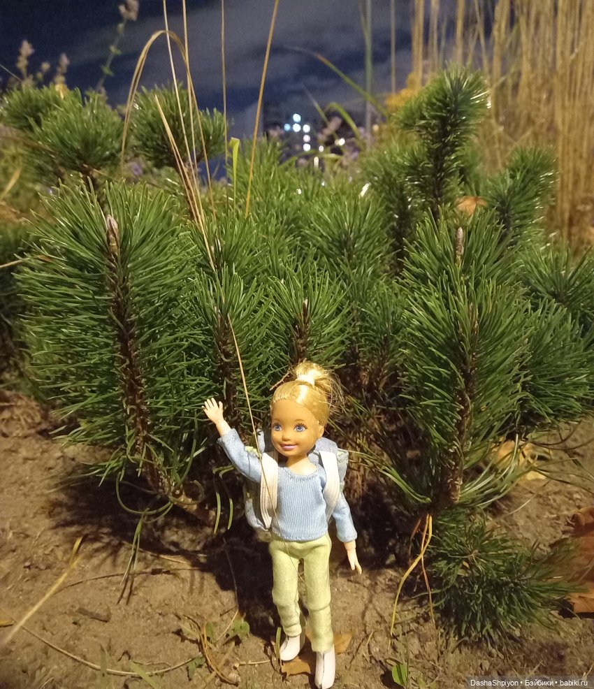 🌾Садовники — Часть 2 — Цветы и фонтаны🌺