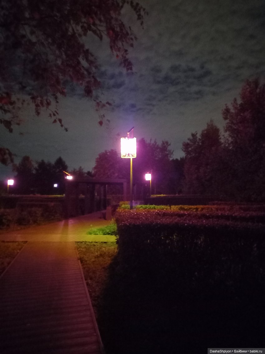 💜 Садовники — Часть 3 — Фонари 🌌 (фото 9)