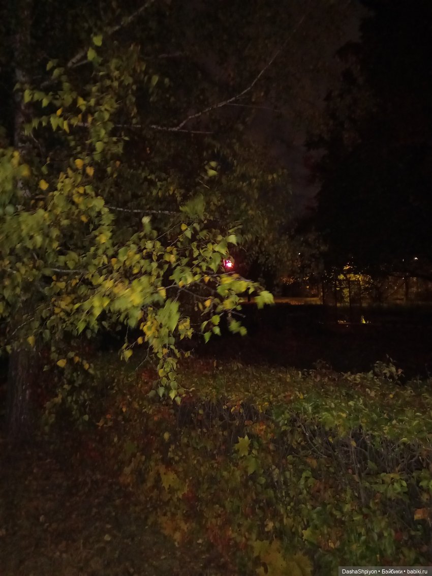 💜 Садовники — Часть 3 — Фонари 🌌