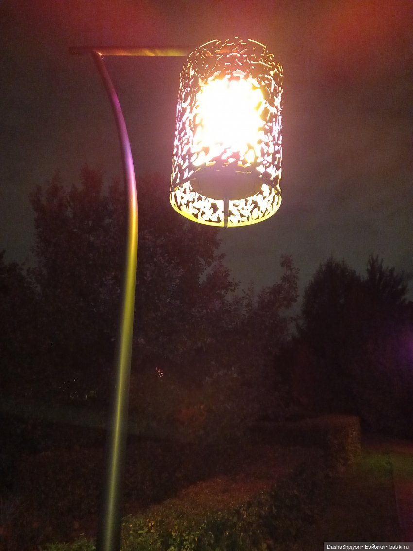 💜 Садовники — Часть 3 — Фонари 🌌 (фото 10)