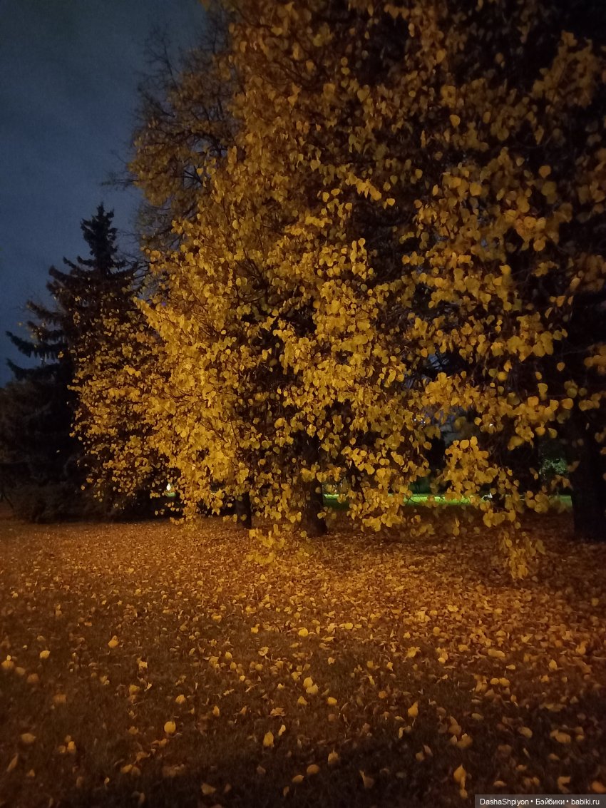 💜 Садовники — Часть 3 — Фонари 🌌