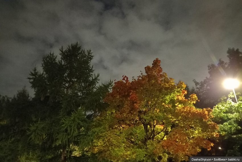 💜 Садовники — Часть 3 — Фонари 🌌