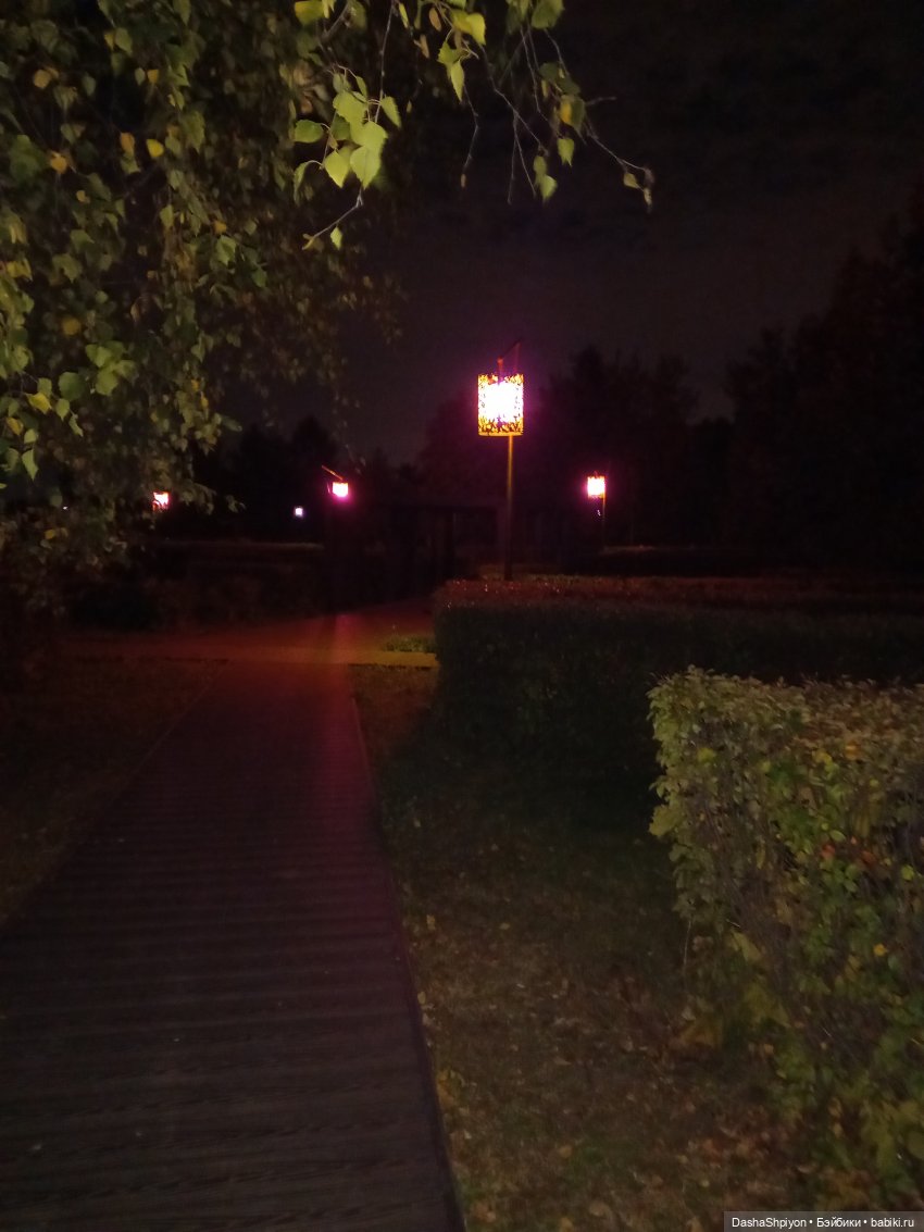 💜 Садовники — Часть 3 — Фонари 🌌 (фото 8)