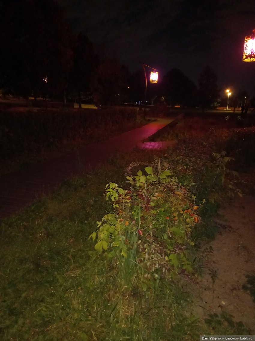 💜 Садовники — Часть 3 — Фонари 🌌