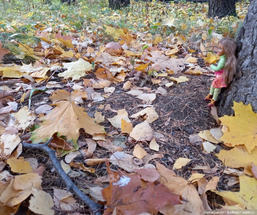 🍂Граница осени и лета 🍁🌿 — Гибриды шарнирных кукол (не БЖД): подбор тела