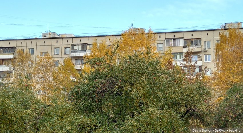 🍂Граница осени и лета 🍁🌿 — Гибриды шарнирных кукол (не БЖД): подбор тела