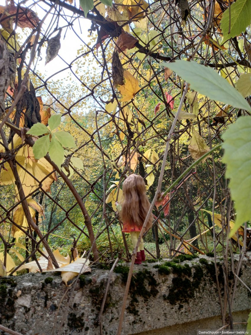 🍂Граница осени и лета 🍁🌿 — Гибриды шарнирных кукол (не БЖД): подбор тела