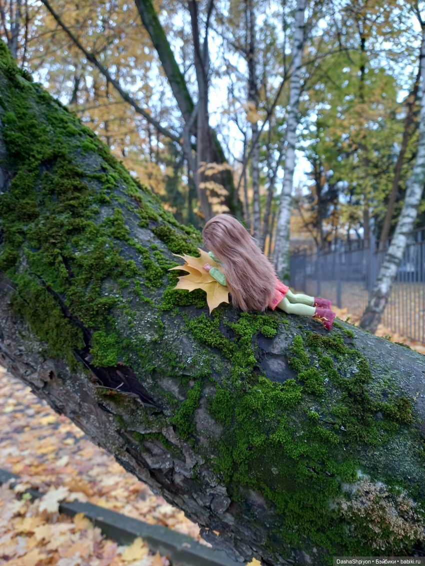 🍂Граница осени и лета 🍁🌿 — Гибриды шарнирных кукол (не БЖД): подбор тела