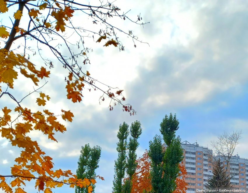 🍂Граница осени и лета 🍁🌿 — Гибриды шарнирных кукол (не БЖД): подбор тела