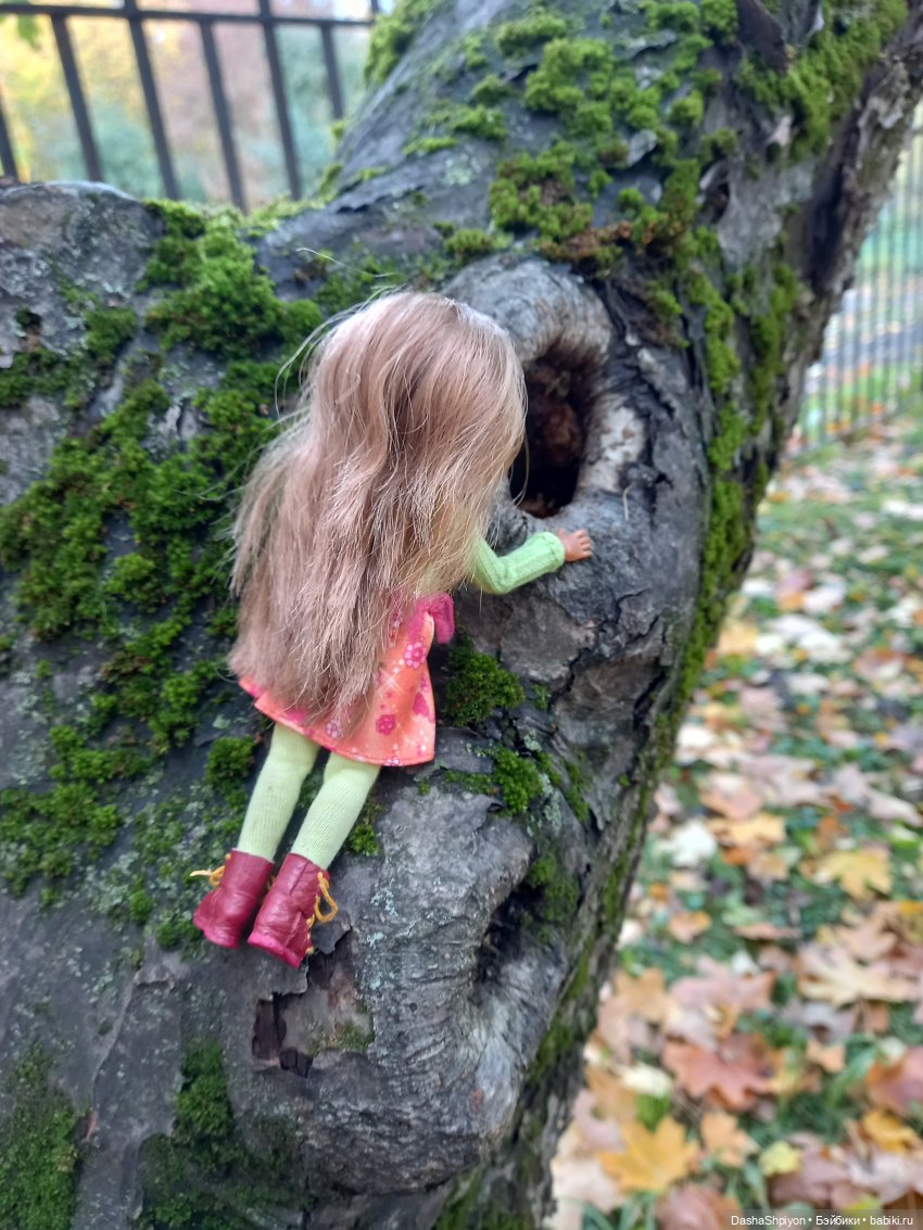 🍂Граница осени и лета 🍁🌿 — Гибриды шарнирных кукол (не БЖД): подбор тела