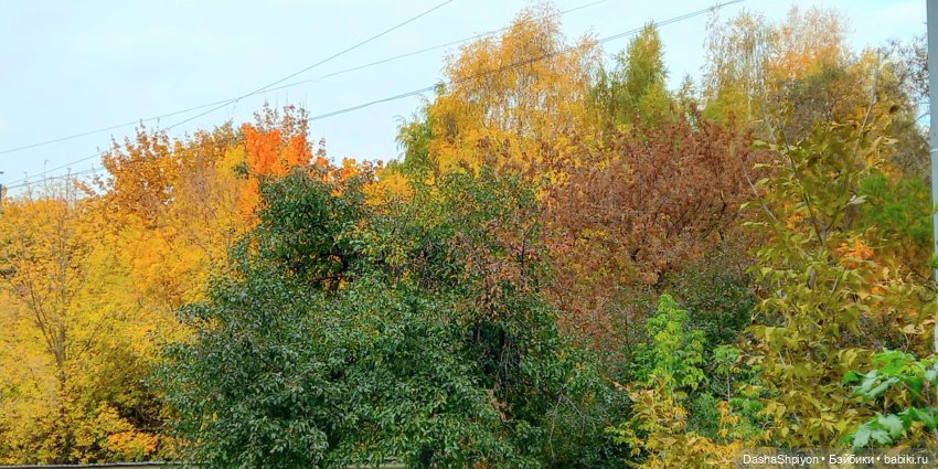 🍂Граница осени и лета 🍁🌿 — Гибриды шарнирных кукол (не БЖД): подбор тела (фото 8)