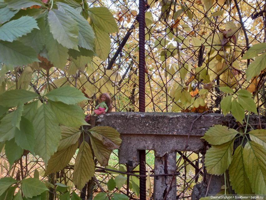 🍂Граница осени и лета 🍁🌿 — Гибриды шарнирных кукол (не БЖД): подбор тела