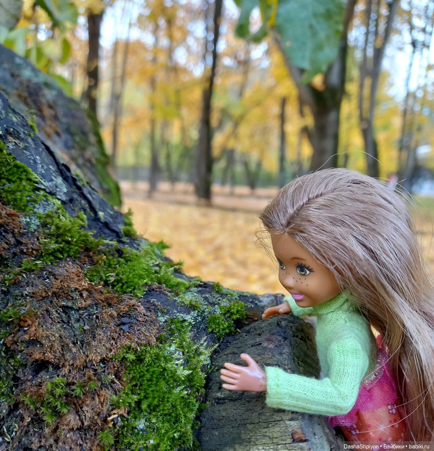 🍂Граница осени и лета 🍁🌿 — Гибриды шарнирных кукол (не БЖД): подбор тела (фото 9)