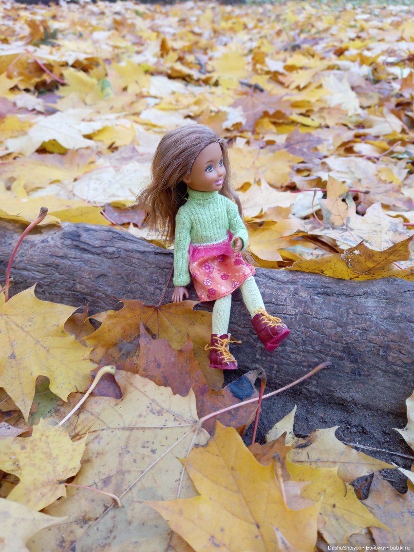 🍂Граница осени и лета 🍁🌿 — Гибриды шарнирных кукол (не БЖД): подбор тела