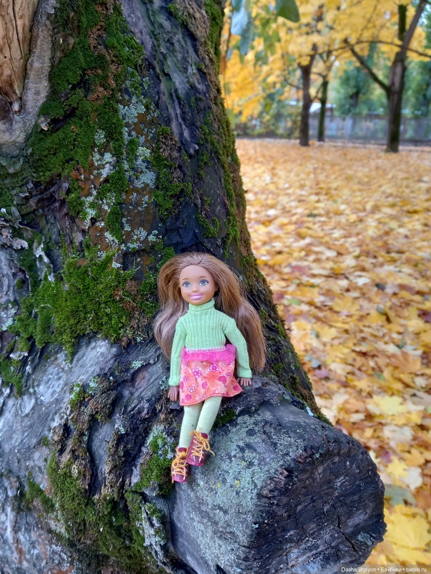 🍂Граница осени и лета 🍁🌿 — Гибриды шарнирных кукол (не БЖД): подбор тела