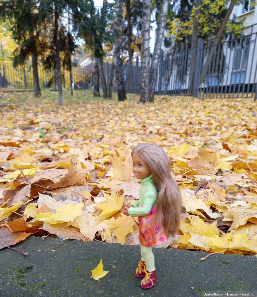 🍂Граница осени и лета 🍁🌿 — Гибриды шарнирных кукол (не БЖД): подбор тела