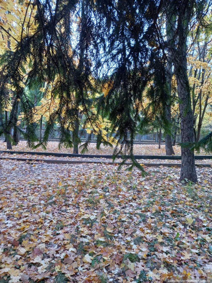 🍂Граница осени и лета 🍁🌿 — Гибриды шарнирных кукол (не БЖД): подбор тела
