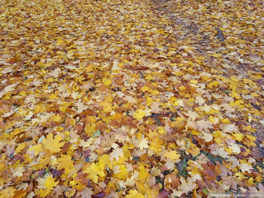 🍂Граница осени и лета 🍁🌿 — Гибриды шарнирных кукол (не БЖД): подбор тела (фото 10)