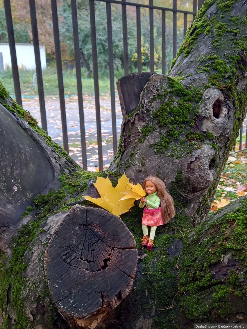 🍂Граница осени и лета 🍁🌿 — Гибриды шарнирных кукол (не БЖД): подбор тела