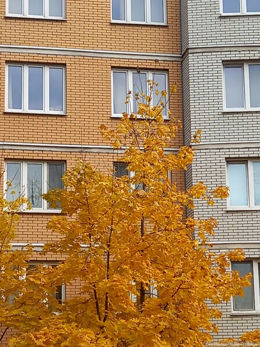 🍂Граница осени и лета 🍁🌿 — Гибриды шарнирных кукол (не БЖД): подбор тела