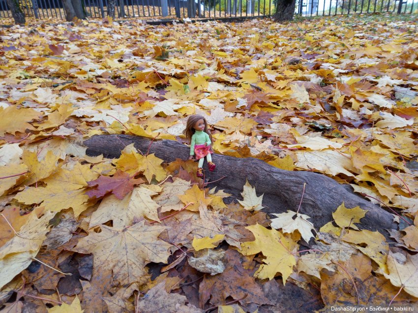 🍂Граница осени и лета 🍁🌿 — Гибриды шарнирных кукол (не БЖД): подбор тела