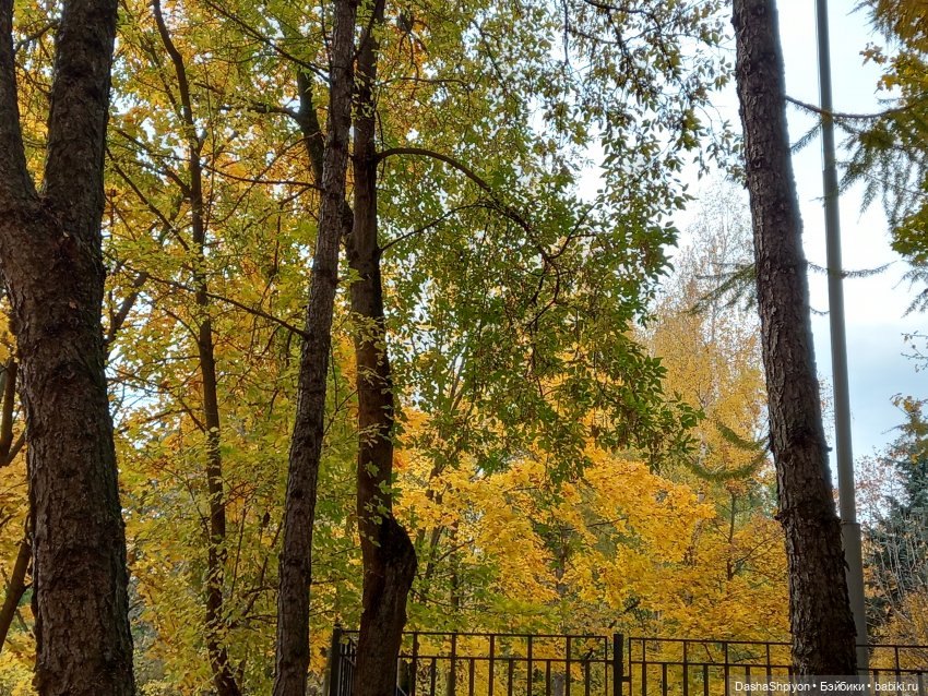 🍂Граница осени и лета 🍁🌿 — Гибриды шарнирных кукол (не БЖД): подбор тела (фото 2)