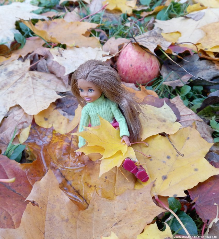 🍂Граница осени и лета 🍁🌿 — Гибриды шарнирных кукол (не БЖД): подбор тела