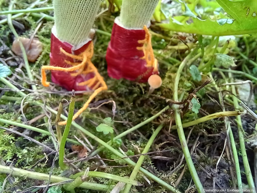 🍂Граница осени и лета 🍁🌿 — Гибриды шарнирных кукол (не БЖД): подбор тела